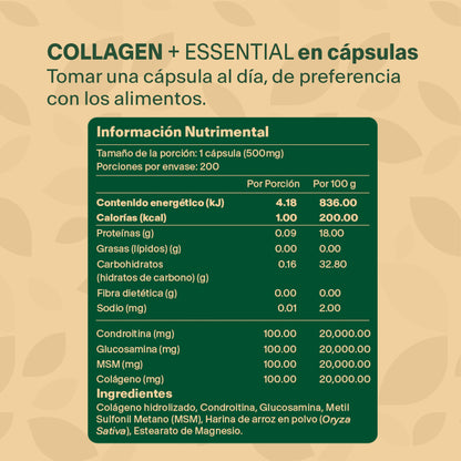 COLLAGEN + ESSENTIAL | Condroitina, Glucosamina, MSM y Colágeno