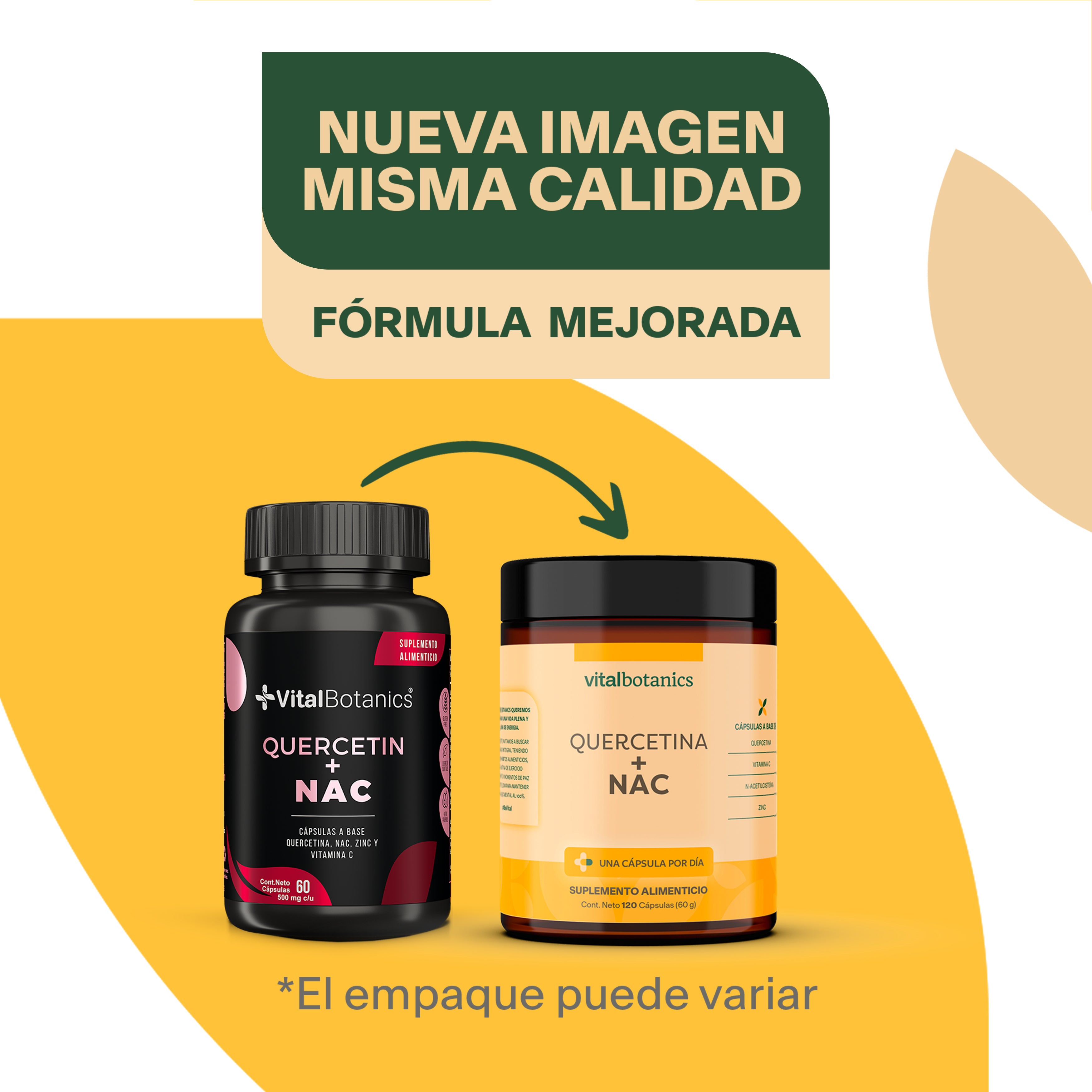 Quercetina NAC Quercetina Zinc NAC y Vitamina C VitalBotanics