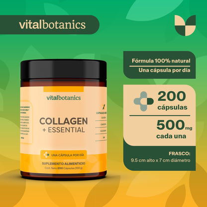 COLLAGEN + ESSENTIAL | Condroitina, Glucosamina, MSM y Colágeno