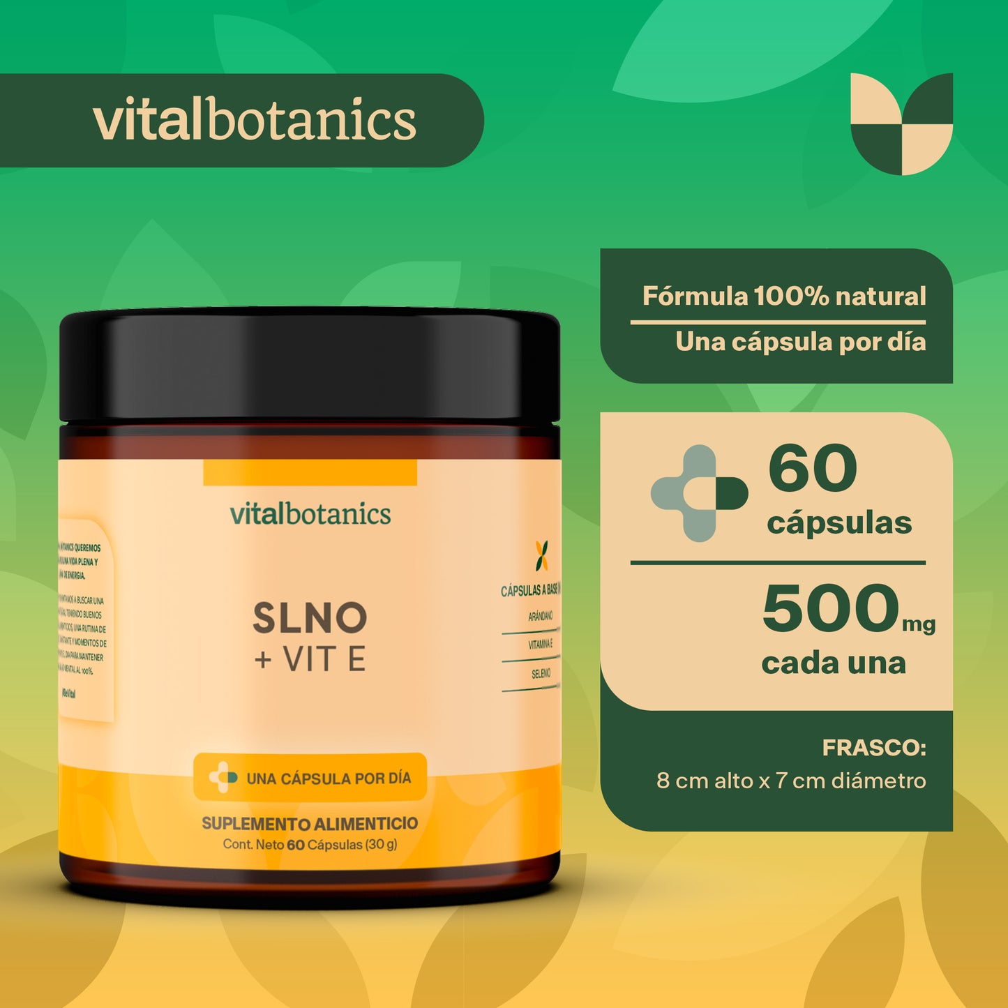 SLNO + VIT E | Vitamina E, Selenio y Arándano