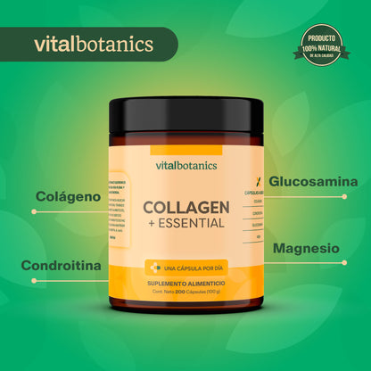 COLLAGEN + ESSENTIAL | Condroitina, Glucosamina, MSM y Colágeno