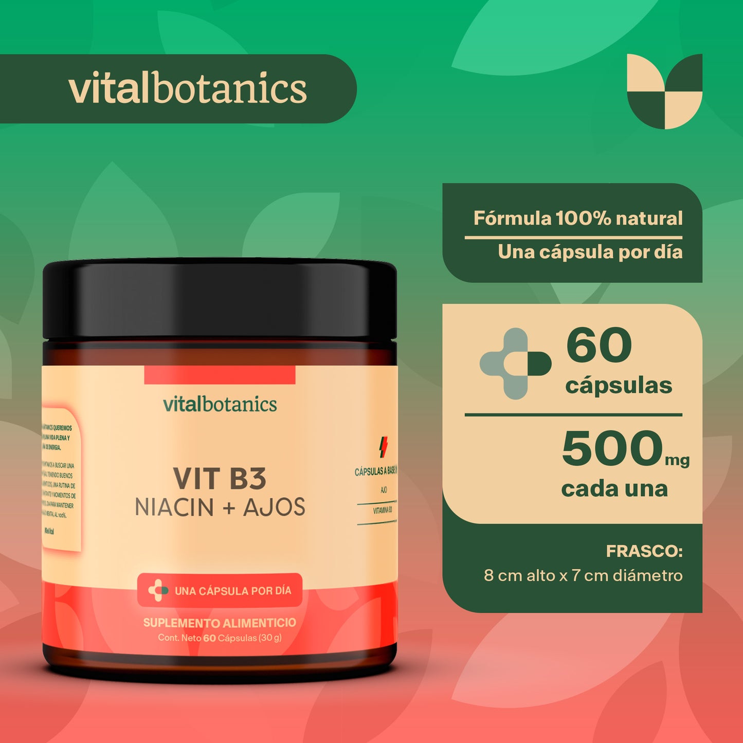 VIT B3 NIACIN + AJOS | 60 cápsulas de 500mg
