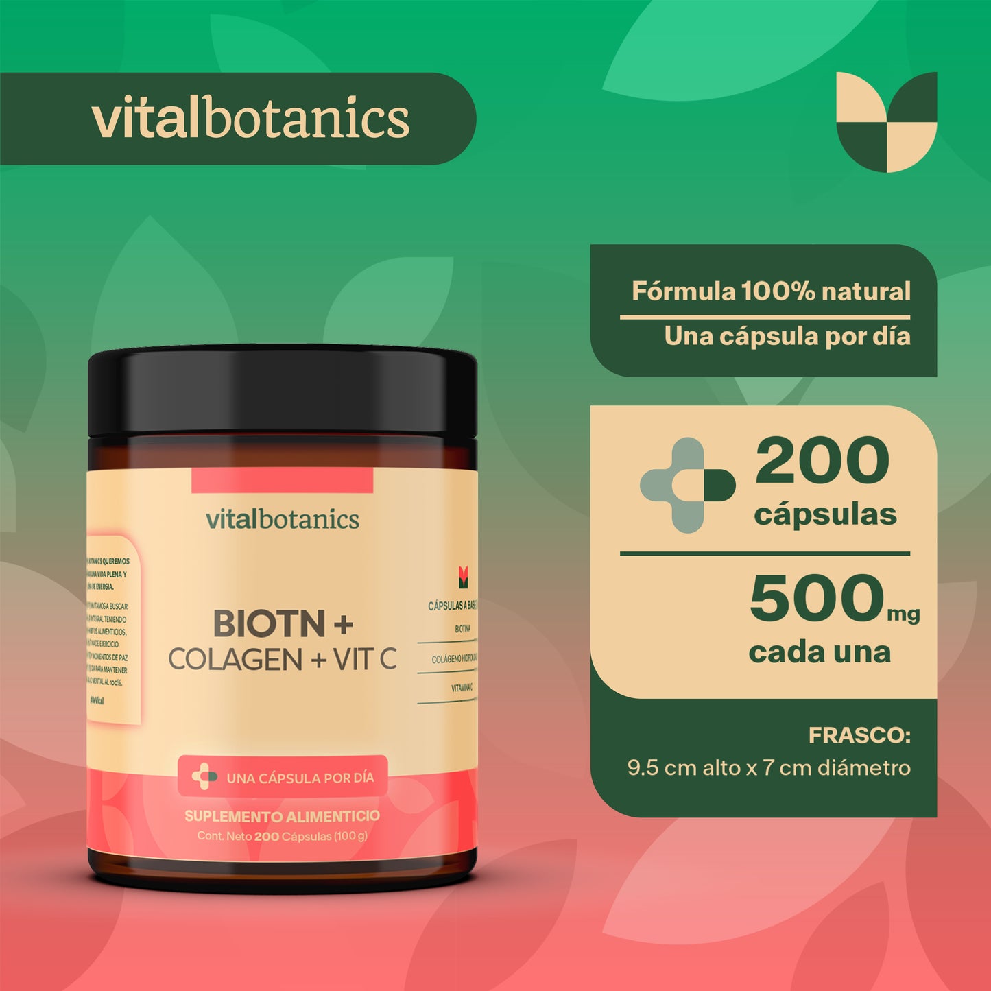 BIOTIN + COLAGEN + VIT C | Vitamina C / Ácido Ascórbico, Biotina y Colágeno Hidrolizado