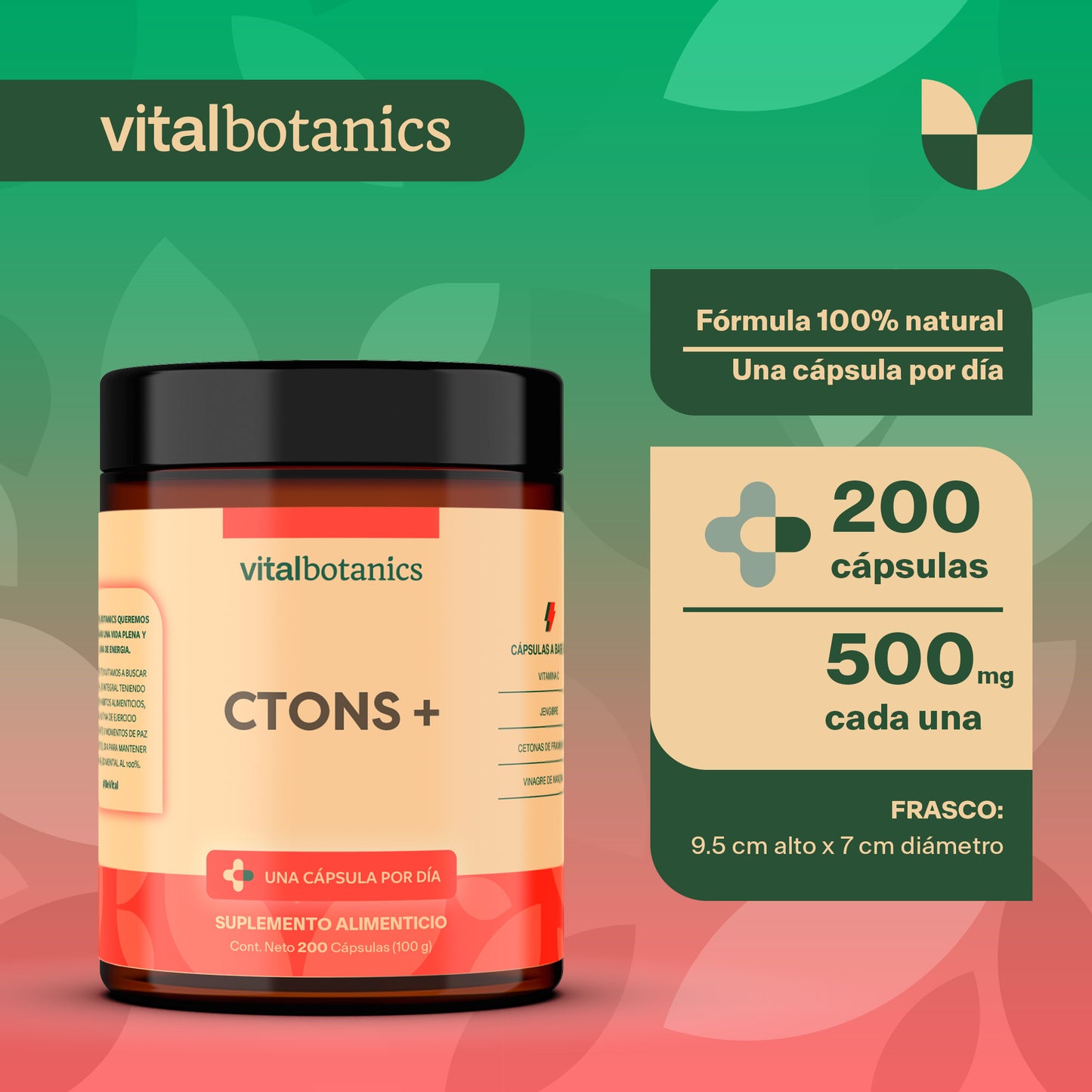 CTONS+ | Vitamina C, Jengibre, Cetonas y Vinagre de Manzana