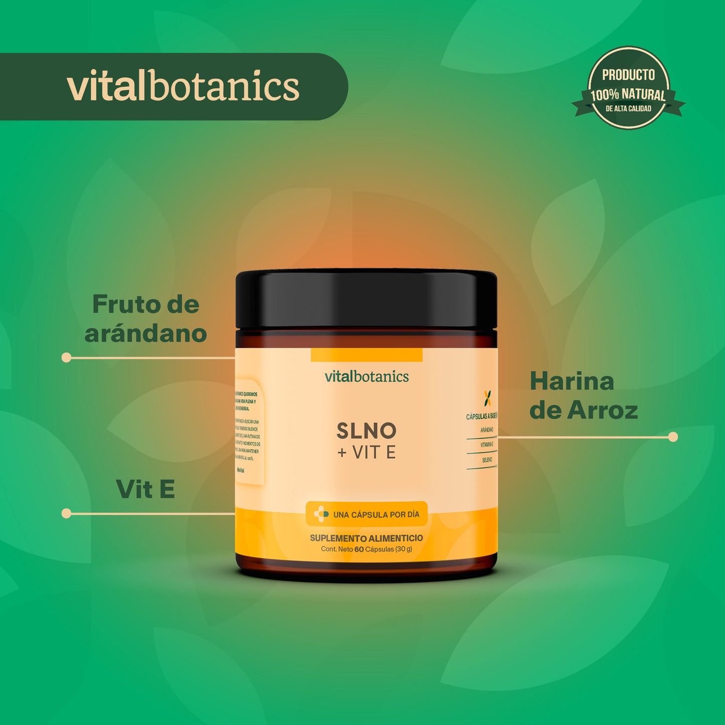 Selenio+ | Vitamina E, Selenio y Arándano