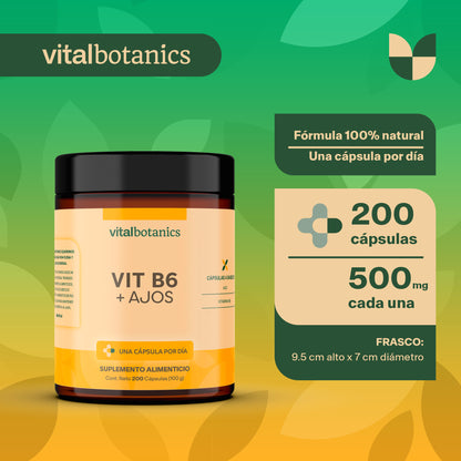 VIT B6 + AJOS | Vitamina B6 y Bulbo de Ajo 200 cápsulas de 500mg