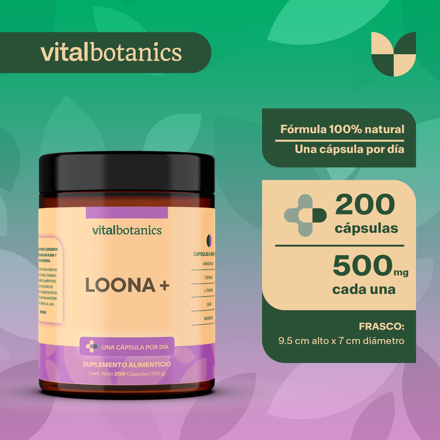 LOONA + | Pasiflora, Manzanilla, L-Teanina y Toronjil