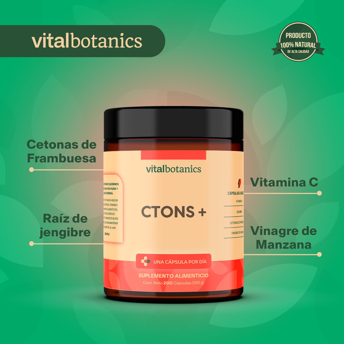 CTONS+ | Vitamina C, Jengibre, Cetonas y Vinagre de Manzana