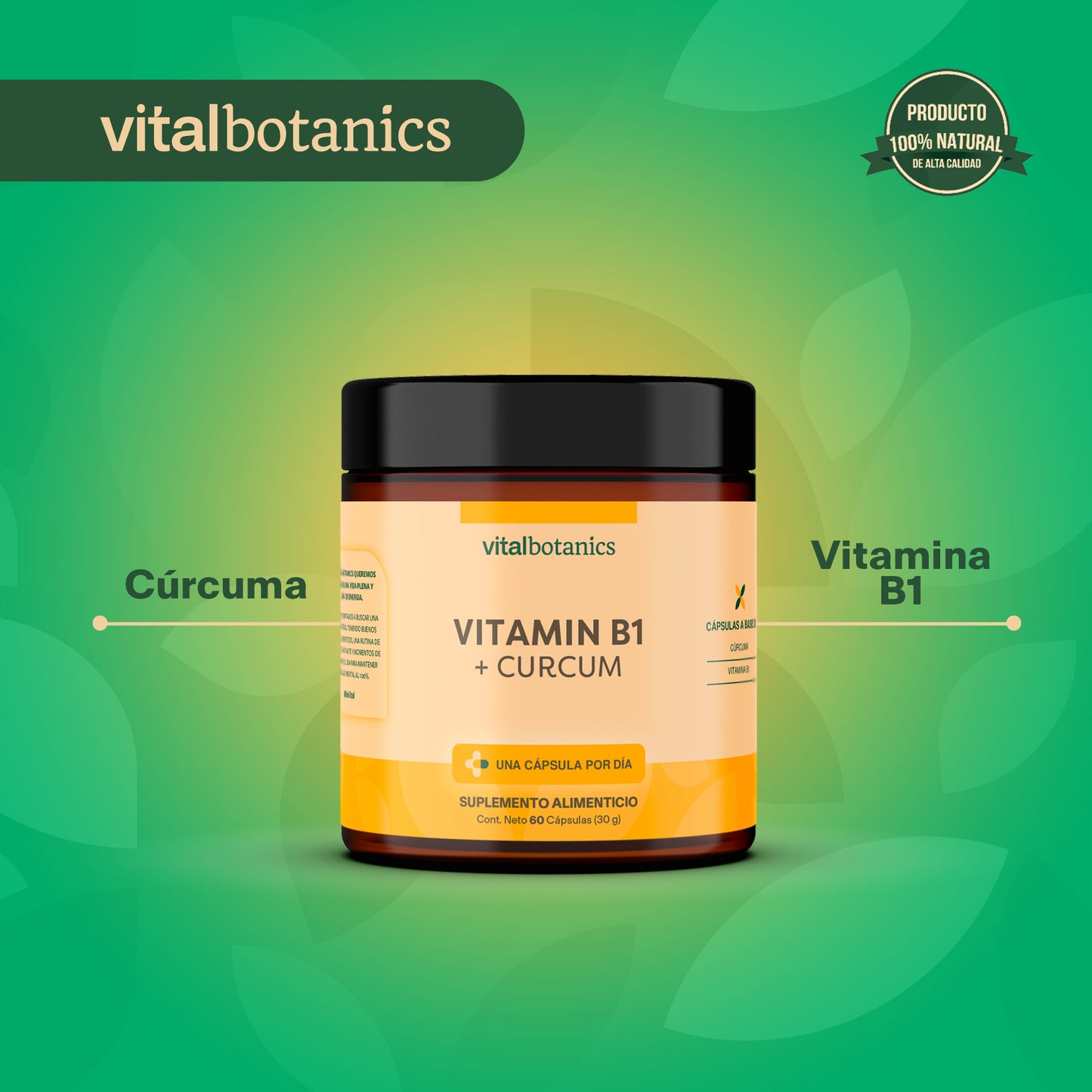 VITAMIN B1 + CURCUM | Vitamina B1 Tiamina + Curcúma