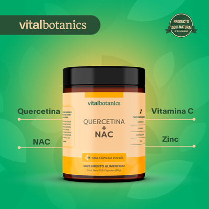 Quercetina + NAC | Quercetina, Zinc, NAC y Vitamina C