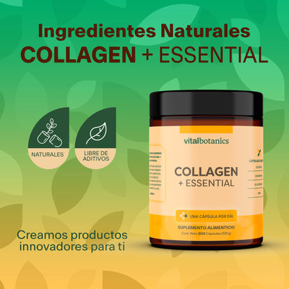 COLLAGEN + ESSENTIAL | Condroitina + Glucosamina + MSM + Colágeno