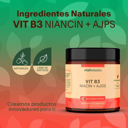 Niacina Vitamina B3 | 60 cápsulas de 500mg