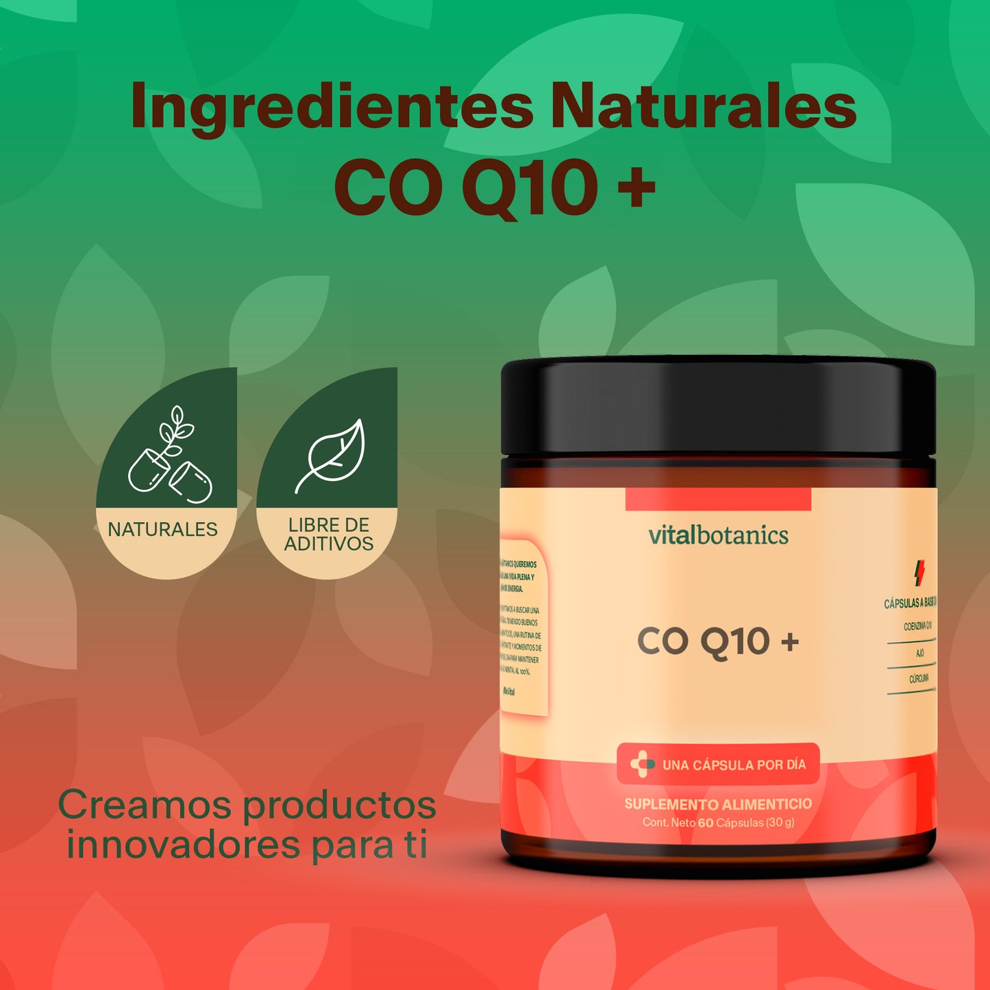 CO Q10 + | Coenzima Q10 + Ajo + Cúrcuma