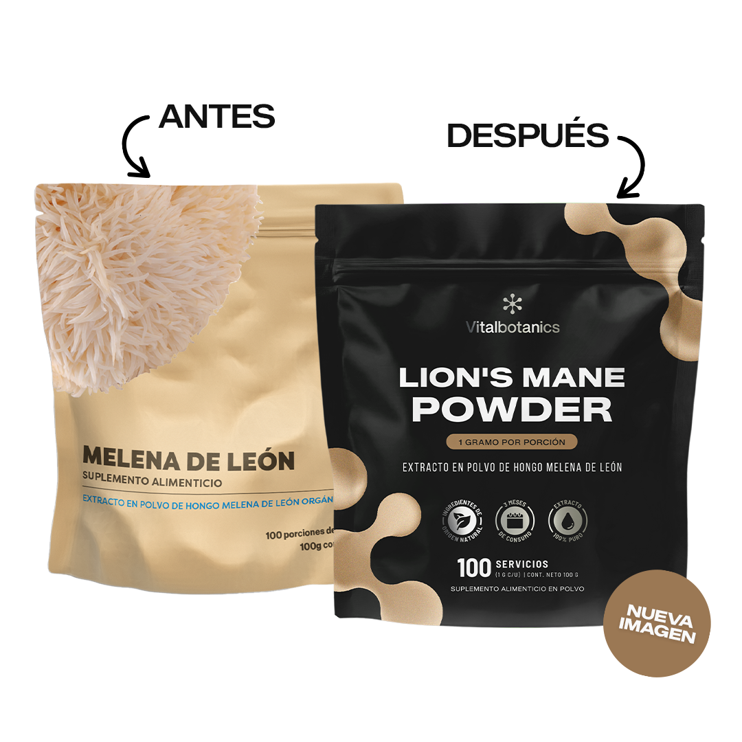 Lion’s Mane Powder | Melena de León en Polvo 100g