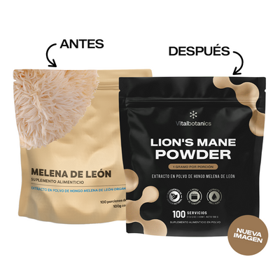 Lion’s Mane Powder | Melena de León en Polvo 100g