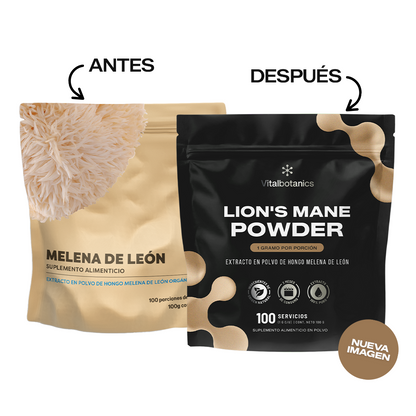 Lion’s Mane Powder | Melena de León en Polvo 100g