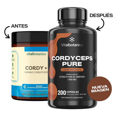 Cordyceps Pure | Hongo Adaptógeno en Cápsulas 500mg
