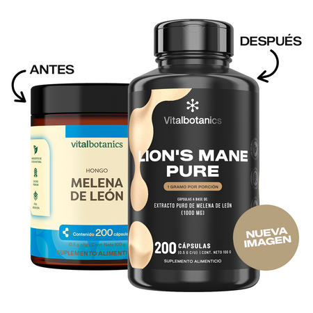 Lion’s Mane Pure | Hongo Melena de León en Cápsulas