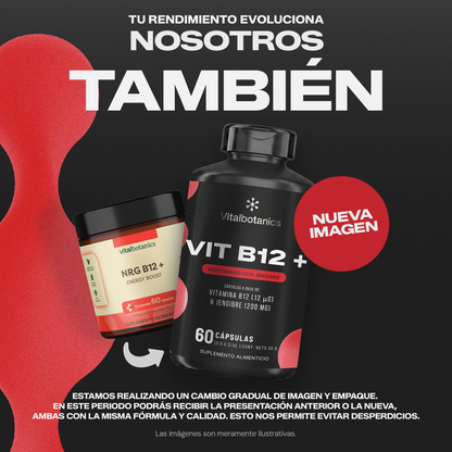 Suplemento Vit B12+ Vitalbotanics – 60 cápsulas de Vitamina B12 y Jengibre