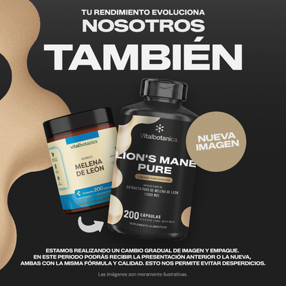Lion’s Mane Pure | Hongo Melena de León en Cápsulas