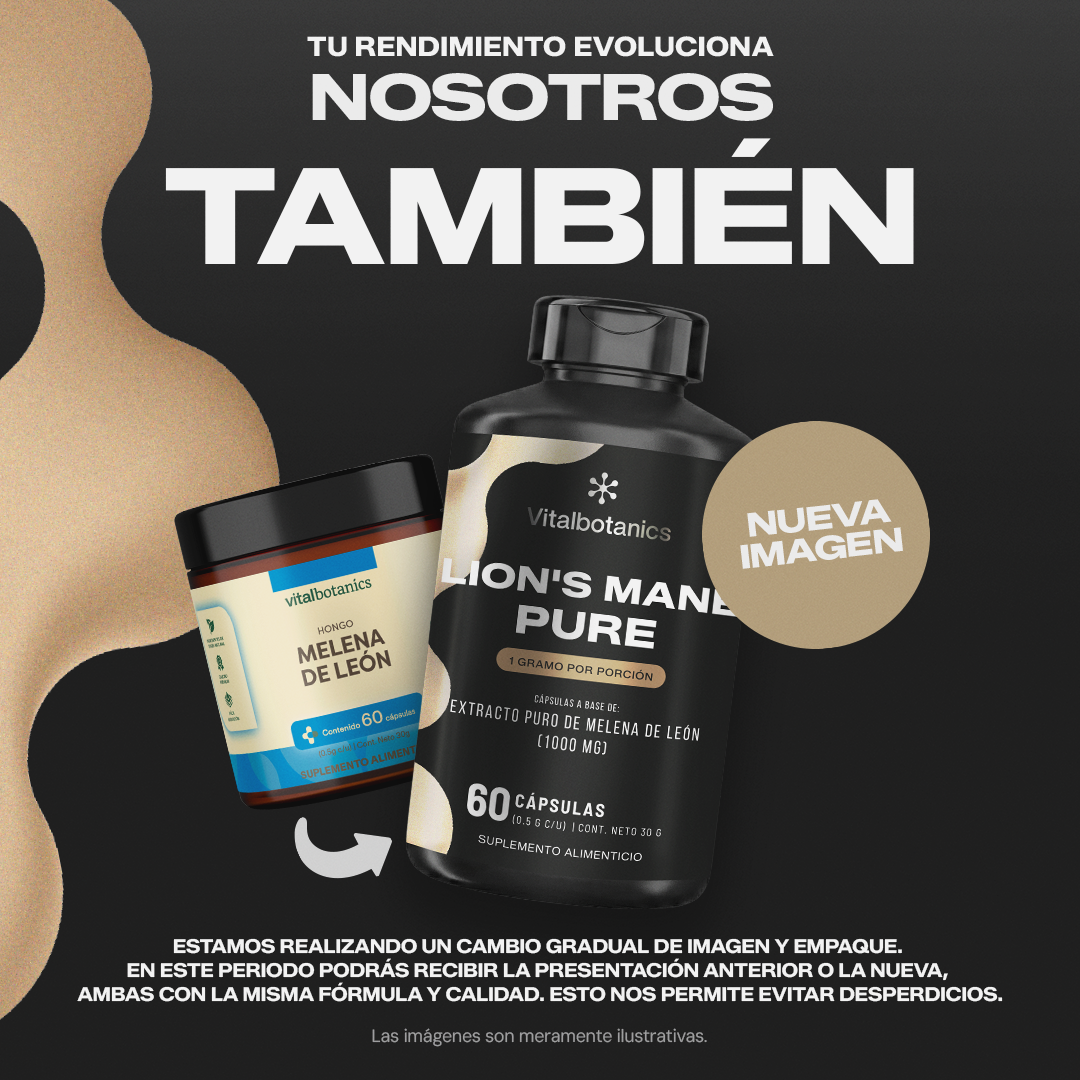 Lion's Mane Pure | Extracto de Melena de León - Memoria y Función Cognitiva