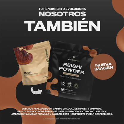 Reishi Powder | Extracto Puro Ganoderma Lucidum