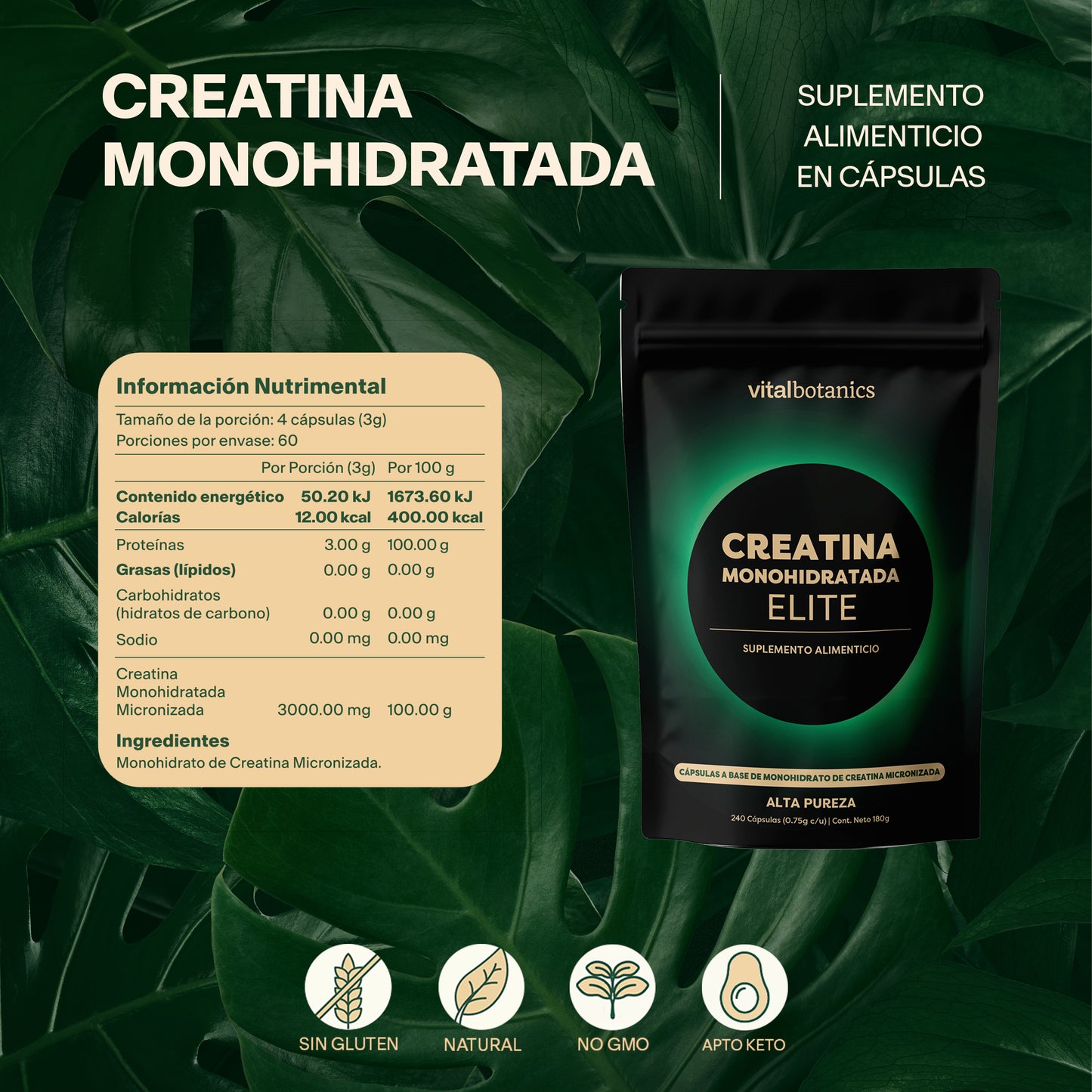 Creatina Monohidratada Elite (Cápsulas)