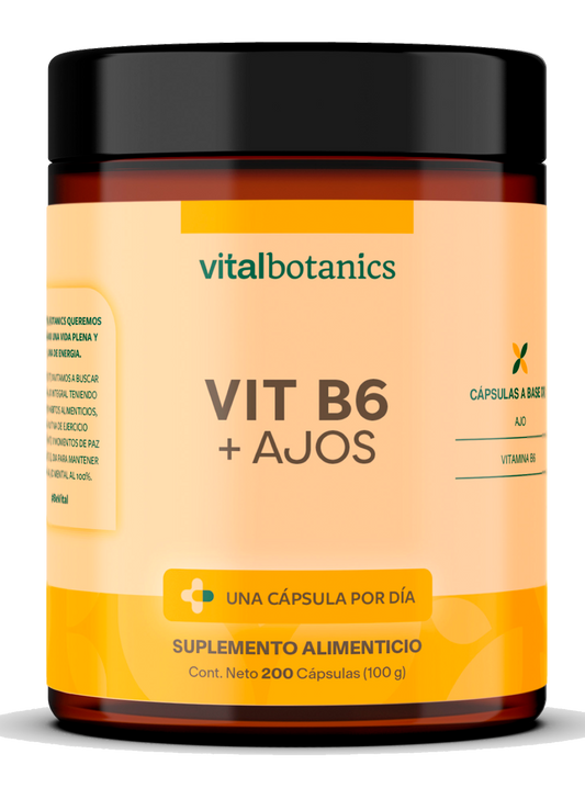 VIT B6 + AJOS | Vitamina B6 y Bulbo de Ajo 200 cápsulas de 500mg