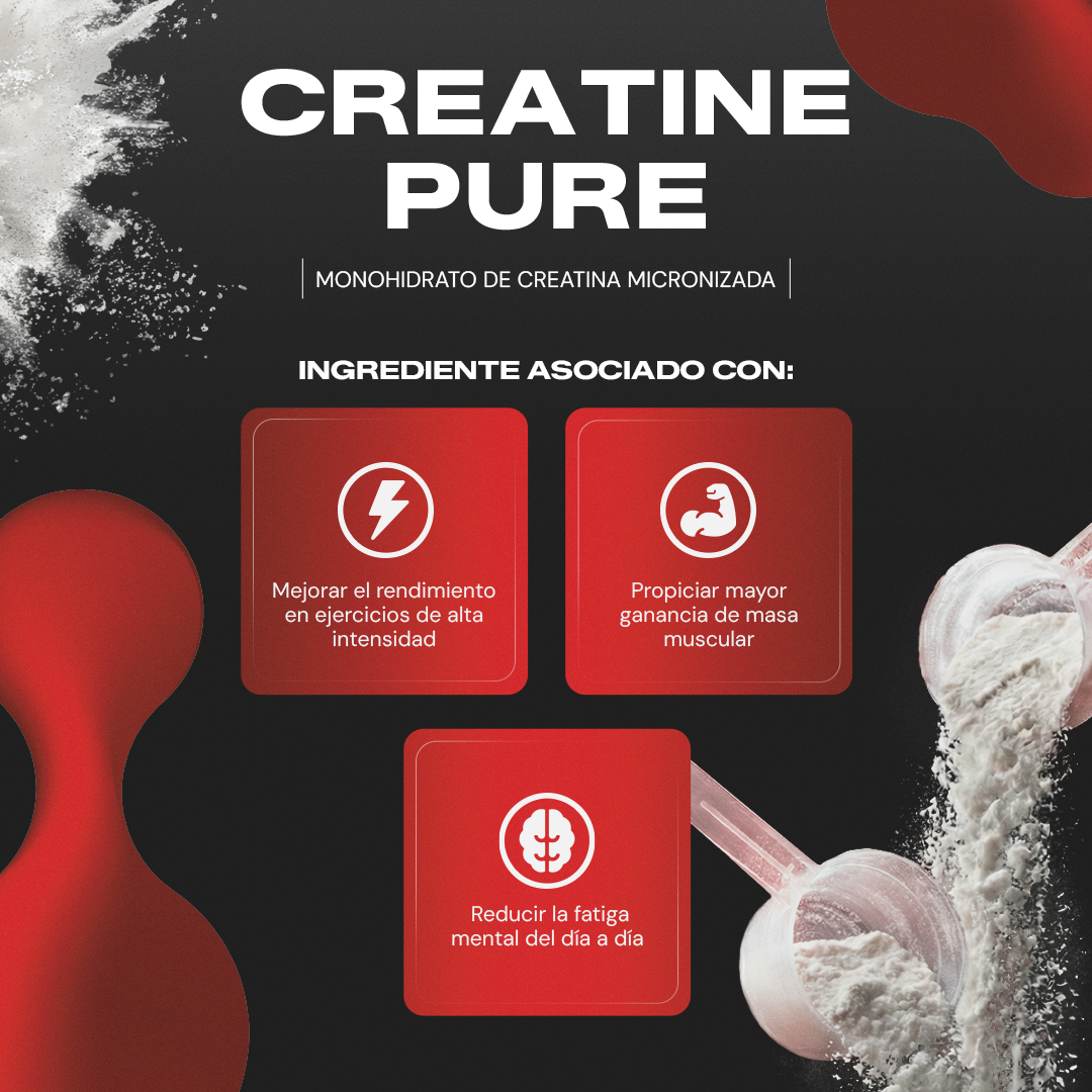 Creatine Pure | Creatina Monohidratada Micronizada