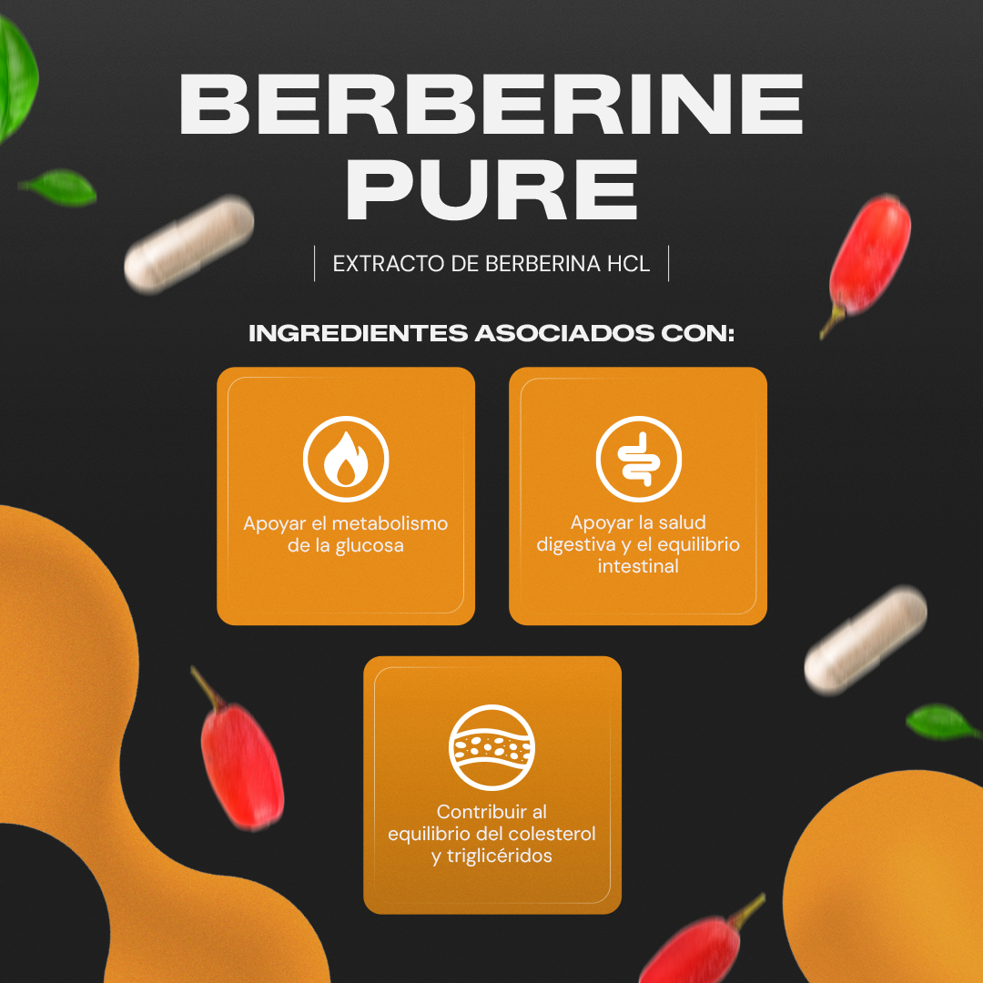 Berberine Pure | Berberina HCL - 500 mg por Cápsula