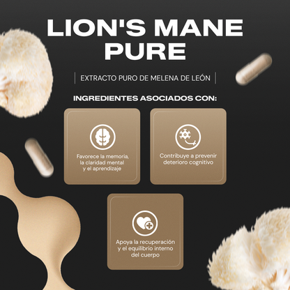 Lion’s Mane Pure | Hongo Melena de León en Cápsulas
