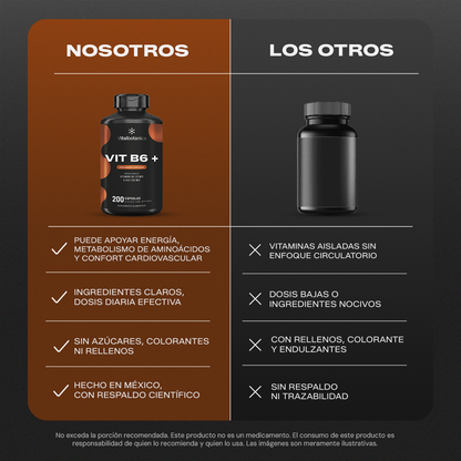 Vit B6+ | Vitamina B6 Piridoxina con Ajo - Neurotransmisores y Energía