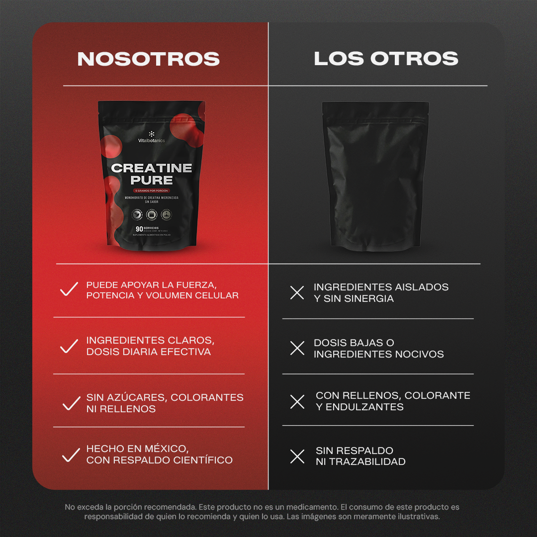 Creatine Pure | Creatina Monohidratada Micronizada en Polvo