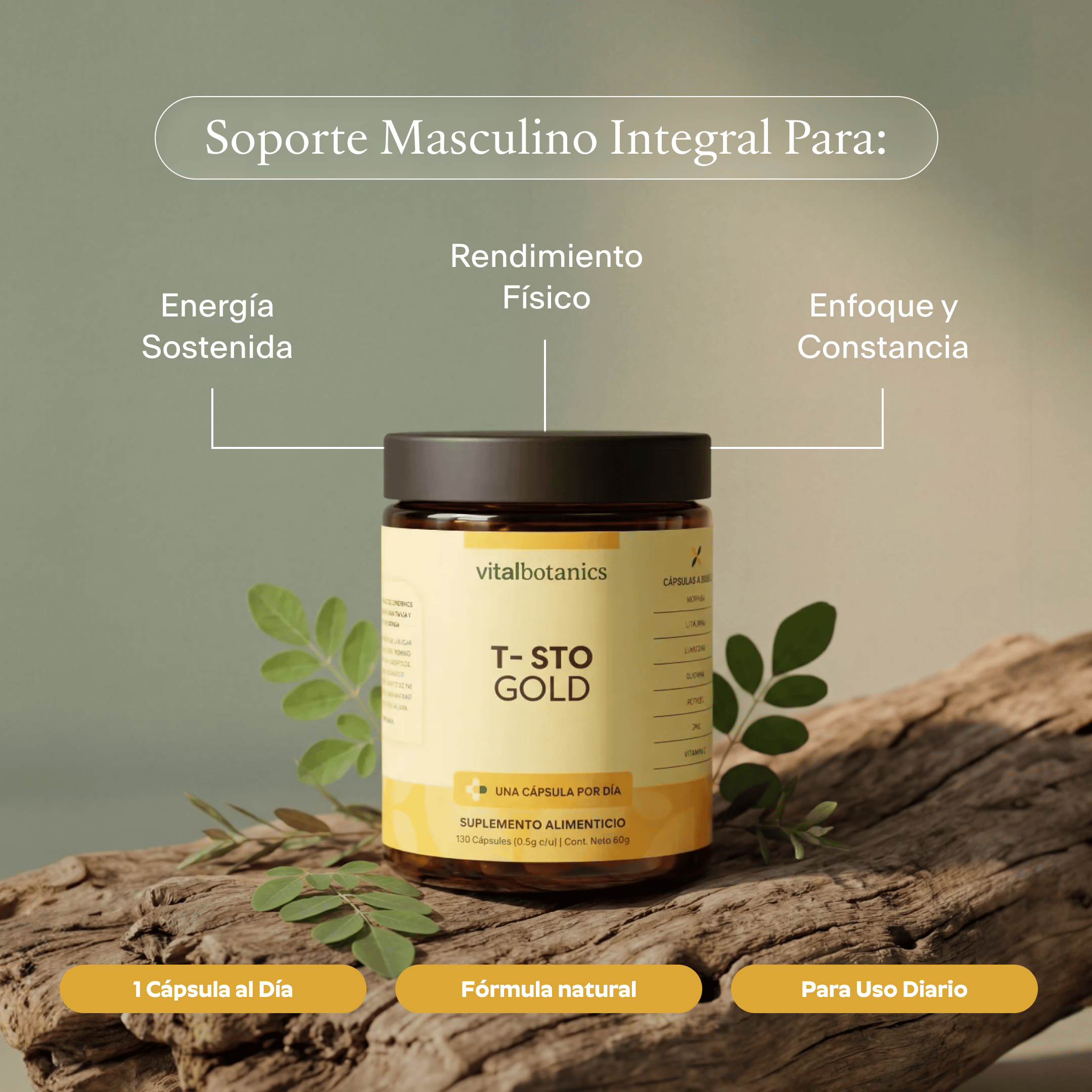 Precursor De Testosterona Gold en Cápsulas