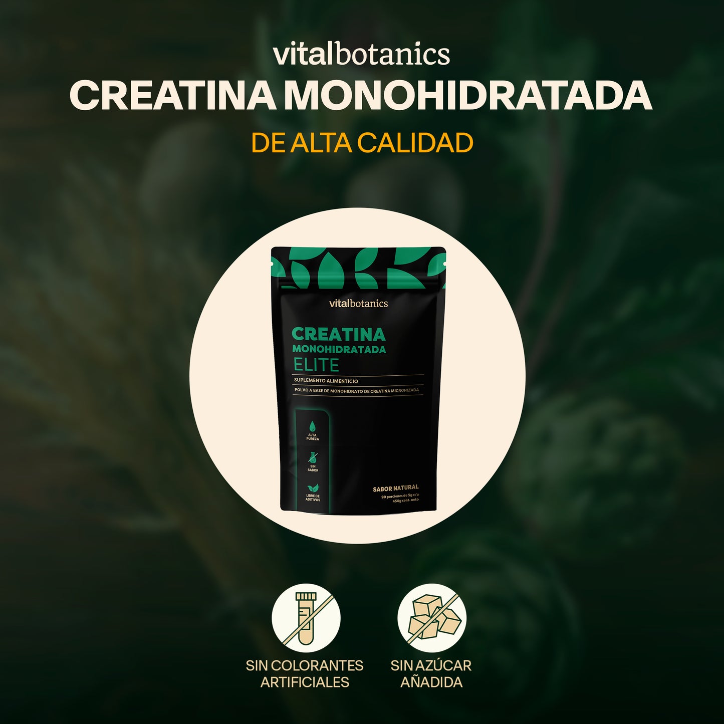 Creatina Monohidratada Elite (Sabor Natural)