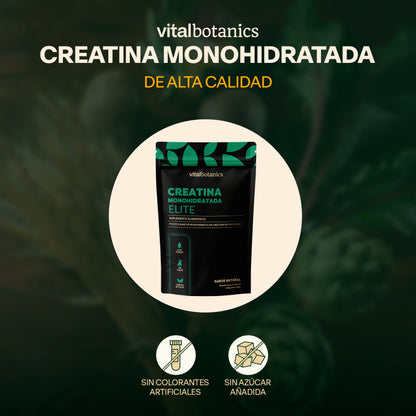 Creatina Monohidratada Elite (Sabor Natural)