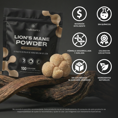 Lion's Mane Powder | Extracto Puro de Melena de León