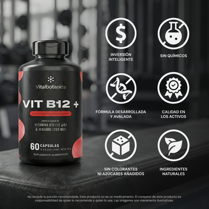 Características de Vit B12+ – Vitamina B12 y Jengibre de origen natural sin rellenos