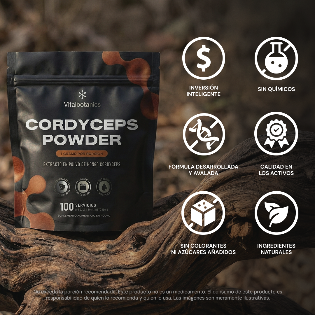Cordyceps Powder | Extracto Puro de Cordyceps - 100 g en Polvo