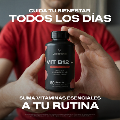 Ingredientes de Vit B12+ Vitalbotanics – Vitamina B12 Cobalamina y raíz de Jengibre