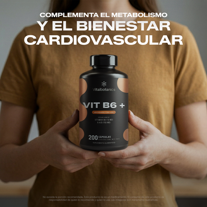 Ingredientes de Vit B6+ Vitalbotanics – Vitamina B6 Piridoxina y Ajo de origen natural