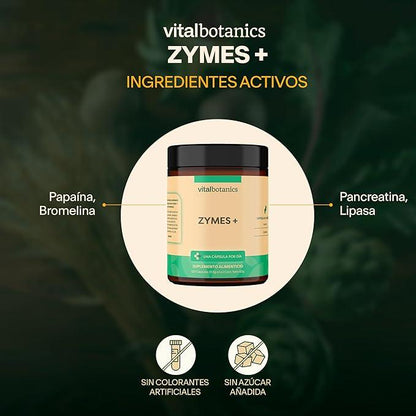 ENZIMA DIGESTIVAS | ZYMES +