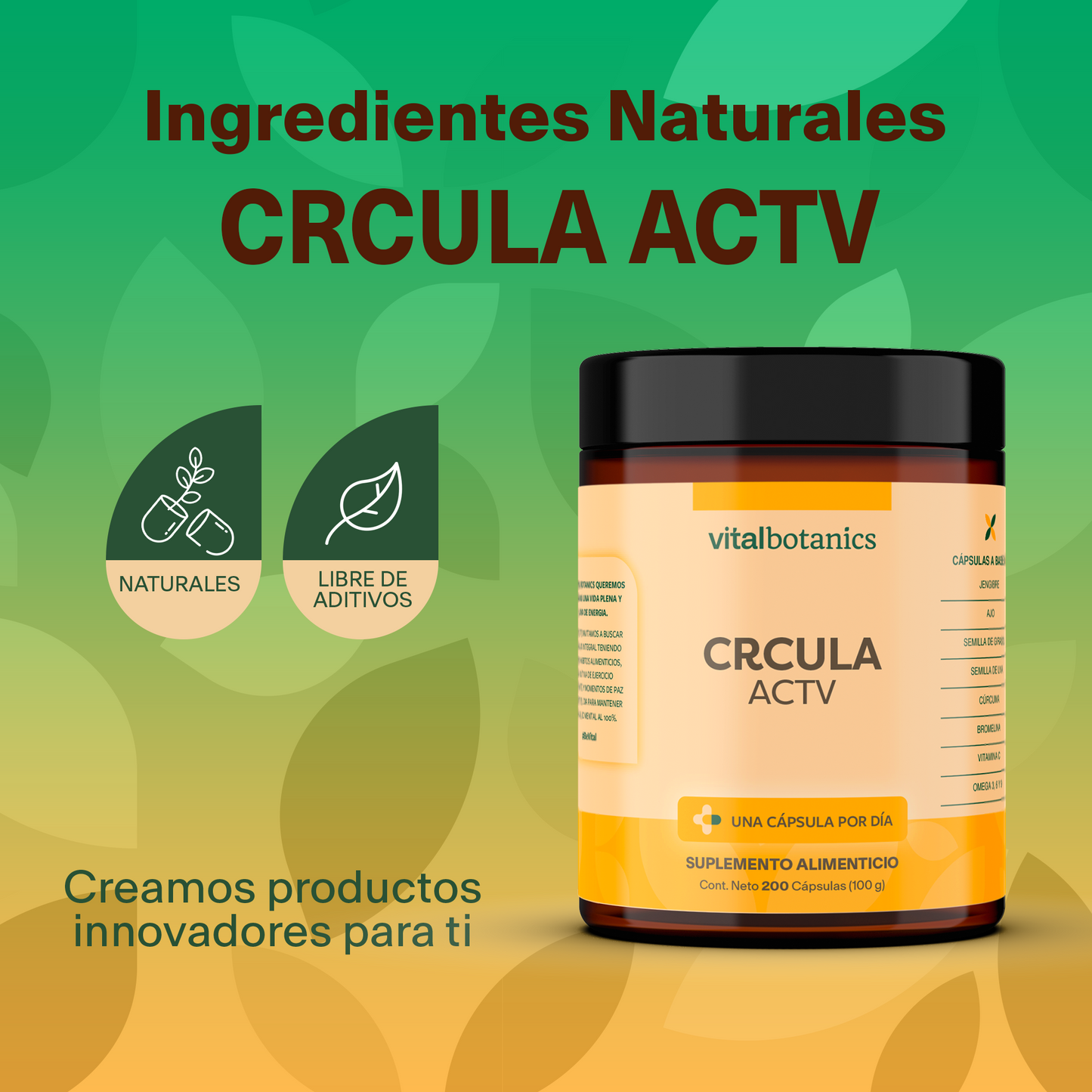 CRCULA ACTV | Vitamina C/Ácido Ascórbico, Ajo, Bromelina, Cúrcuma, Girasol, Jengibre, Uva y Mezcla de Omega 3, 6 y 9