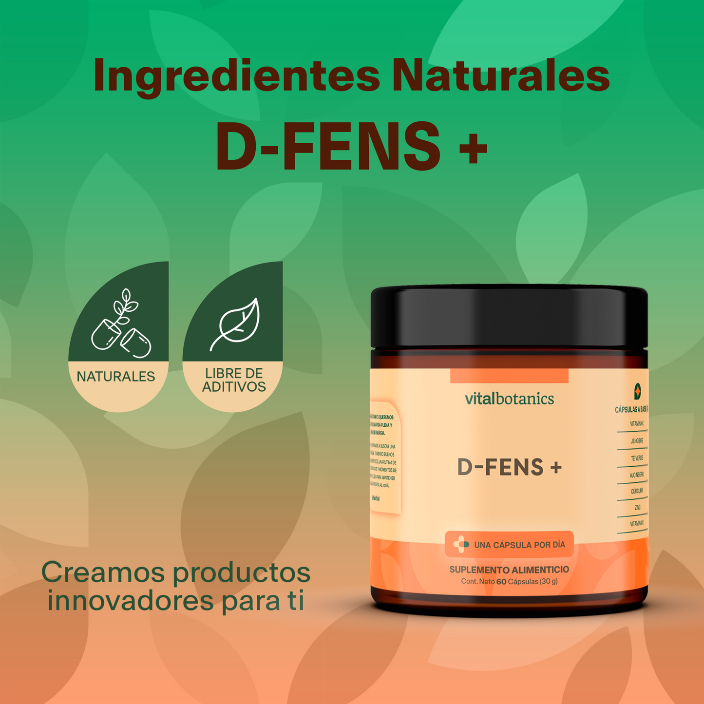 D-FENS + | VitaminaC, D, Zinc, Cúrcuma, Jengibre y Té Verde