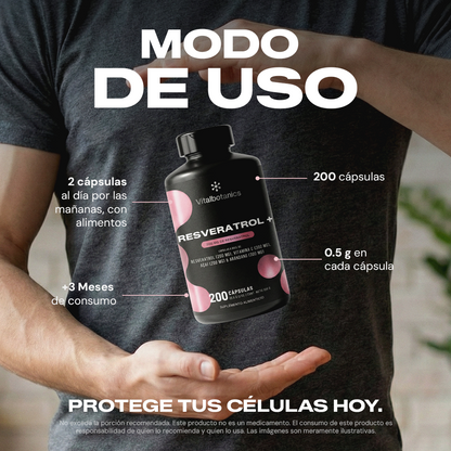 Resveratrol+ | Resveratrol con açai y arándano - VitalBotanics
