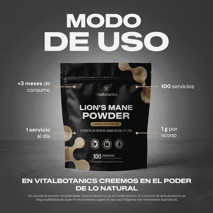 Lion's Mane Powder | Extracto Puro de Melena de León