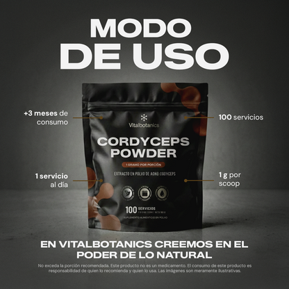 Cordyceps Powder | Extracto Puro de Cordyceps - 100 g en Polvo