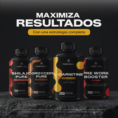 L-Carnitine+ | L-Carnitina pura