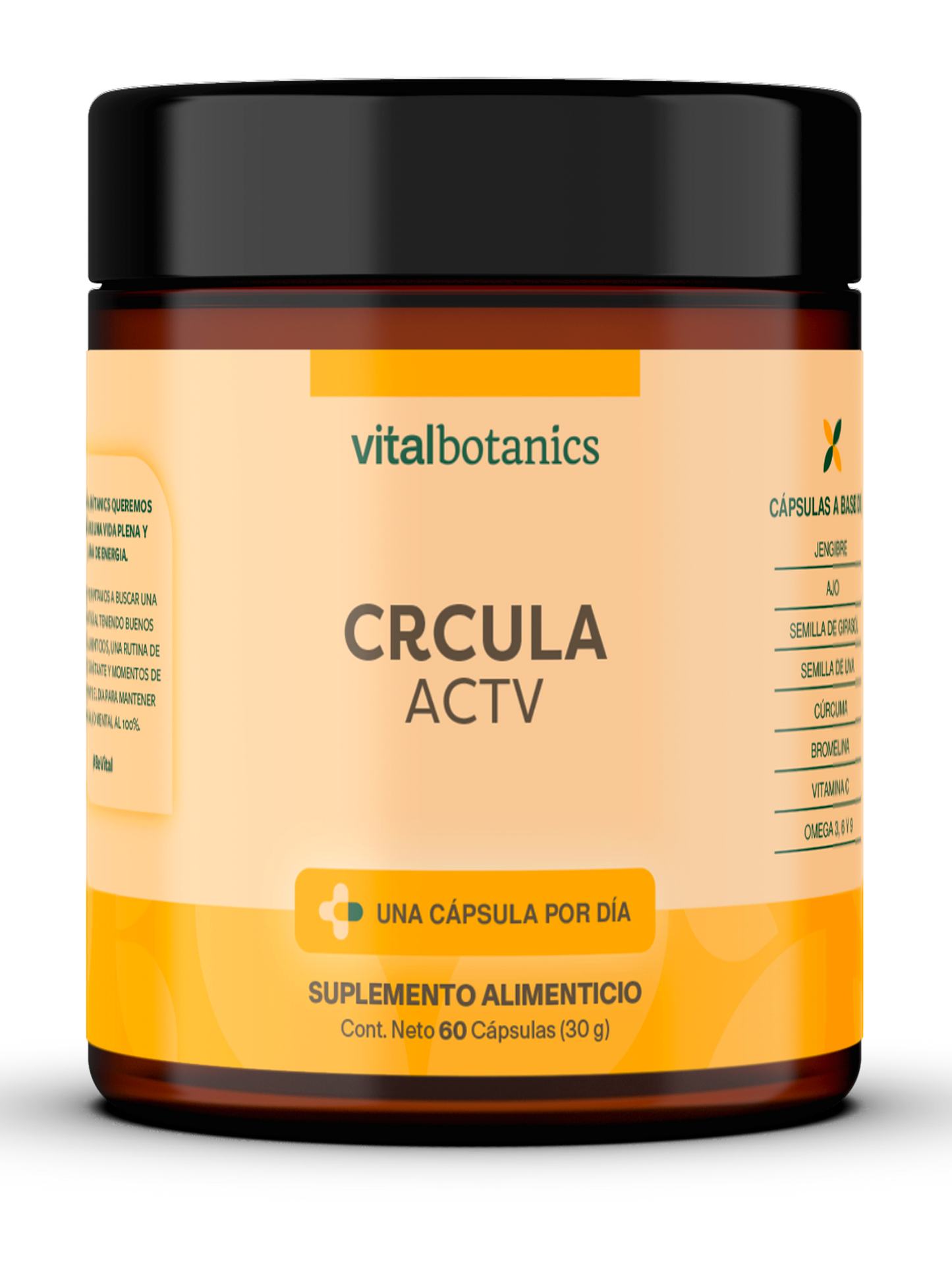 CRCULA ACTV | Vitamina C/Ácido Ascórbico, Ajo, Bromelina, Cúrcuma, Girasol, Jengibre, Uva y Mezcla de Omega 3, 6 y 9