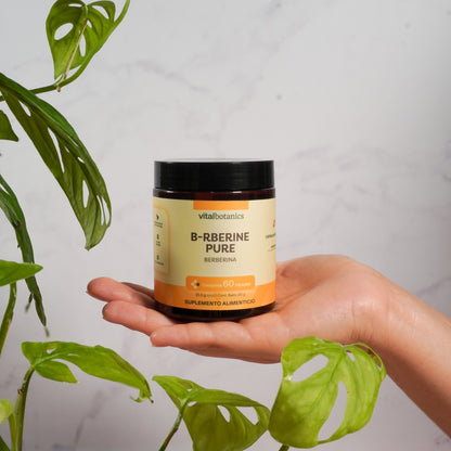 Berberina en Cápsulas